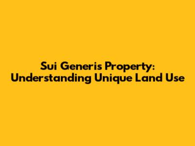 Sui Generis Property: Understanding Unique Land Use