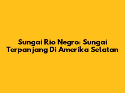 Sungai Rio Negro: Sungai Terpanjang Di Amerika Selatan