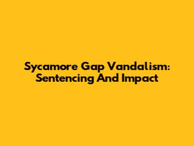 Sycamore Gap Vandalism: Sentencing And Impact