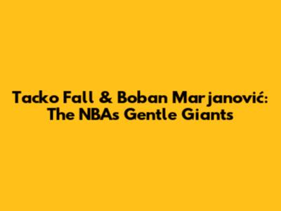 Tacko Fall & Boban Marjanović: The NBA's Gentle Giants
