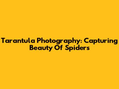 Tarantula Photography: Capturing Beauty Of Spiders