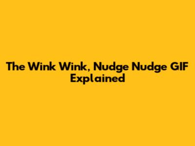 The "Wink Wink, Nudge Nudge" GIF Explained