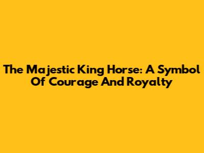 The Majestic King Horse: A Symbol Of Courage And Royalty