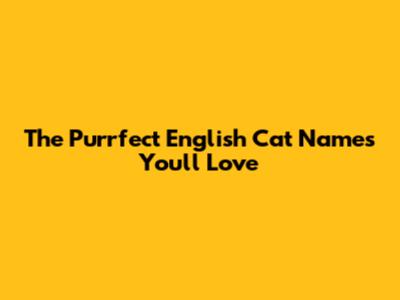 The Purrfect English Cat Names You'll Love