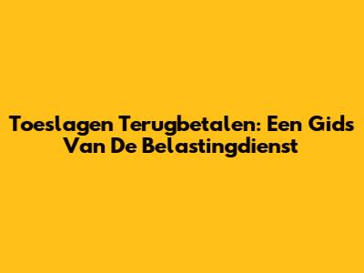 Toeslagen Terugbetalen: Een Gids Van De Belastingdienst