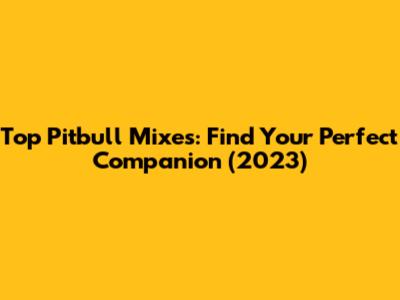 Top Pitbull Mixes: Find Your Perfect Companion (2023)