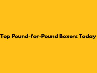 Top Pound-for-Pound Boxers Today