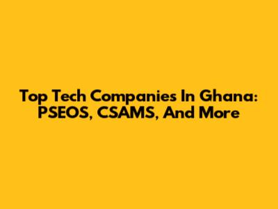 Top Tech Companies In Ghana: PSEOS, CSAMS, And More