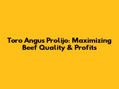 Toro Angus Prolijo: Maximizing Beef Quality & Profits