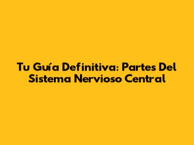 Tu Guía Definitiva: Partes Del Sistema Nervioso Central