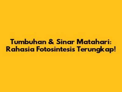 Tumbuhan & Sinar Matahari: Rahasia Fotosintesis Terungkap!