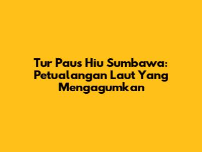 Tur Paus Hiu Sumbawa: Petualangan Laut Yang Mengagumkan