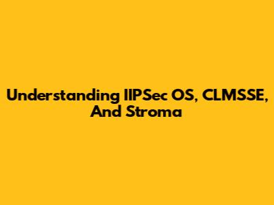 Understanding IIPSec OS, CLMSSE, And Stroma