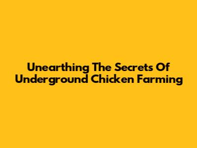 Unearthing The Secrets Of Underground Chicken Farming