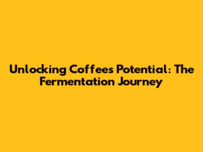 Unlocking Coffee's Potential: The Fermentation Journey