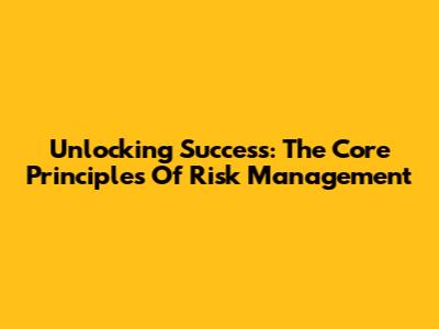 Unlocking Success: The Core Principles Of Risk Management