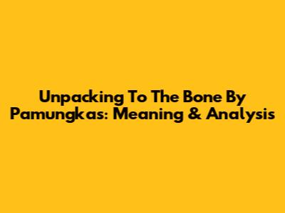Unpacking 'To The Bone' By Pamungkas: Meaning & Analysis