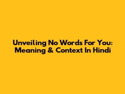 Unveiling 'No Words For You': Meaning & Context In Hindi
