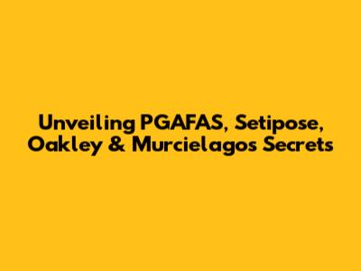 Unveiling PGAFAS, Setipose, Oakley & Murcielago's Secrets