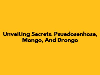 Unveiling Secrets: Psuedosenhose, Mongo, And Drongo