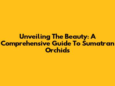 Unveiling The Beauty: A Comprehensive Guide To Sumatran Orchids