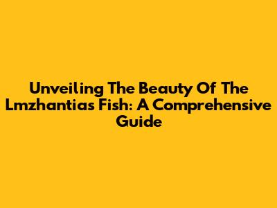 Unveiling The Beauty Of The Lmzhantias Fish: A Comprehensive Guide