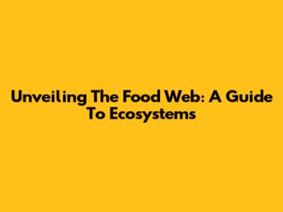 Unveiling The Food Web: A Guide To Ecosystems
