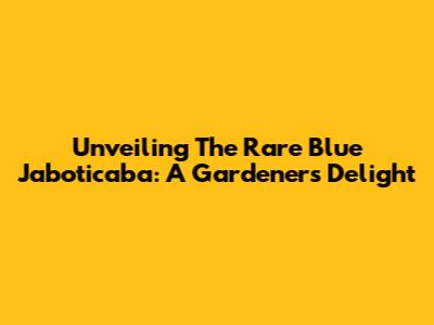 Unveiling The Rare Blue Jaboticaba: A Gardener's Delight