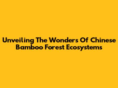 Unveiling The Wonders Of Chinese Bamboo Forest Ecosystems