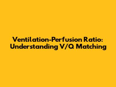 Ventilation-Perfusion Ratio: Understanding V/Q Matching