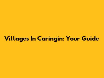 Villages In Caringin: Your Guide
