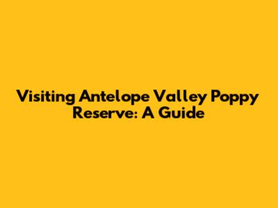 Visiting Antelope Valley Poppy Reserve: A Guide