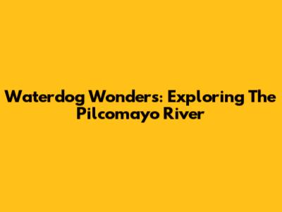 Waterdog Wonders: Exploring The Pilcomayo River