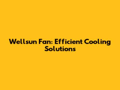 Wellsun Fan: Efficient Cooling Solutions