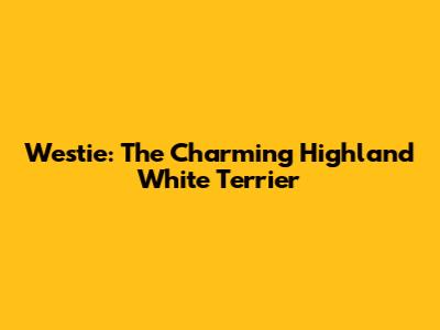 Westie: The Charming Highland White Terrier
