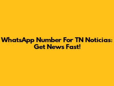 WhatsApp Number For TN Noticias: Get News Fast!