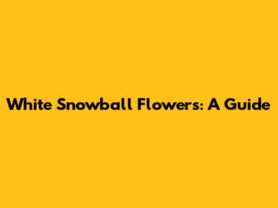 White Snowball Flowers: A Guide
