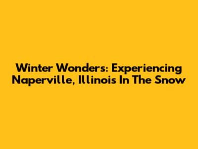 Winter Wonders: Experiencing Naperville, Illinois In The Snow
