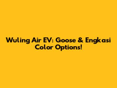 Wuling Air EV: Goose & Engkasi Color Options!