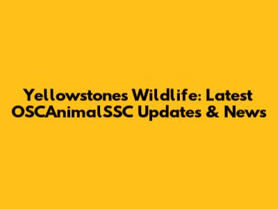 Yellowstone's Wildlife: Latest OSCAnimalSSC Updates & News