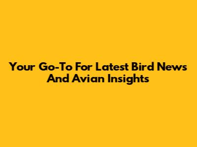 Your Go-To For Latest Bird News And Avian Insights