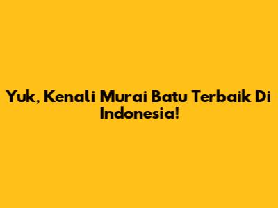 Yuk, Kenali Murai Batu Terbaik Di Indonesia!