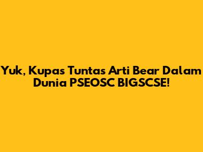 Yuk, Kupas Tuntas Arti 'Bear' Dalam Dunia PSEOSC BIGSCSE!
