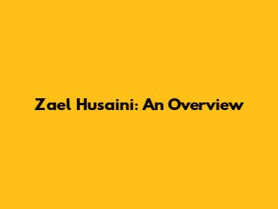 Zael Husaini: An Overview